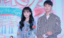 吃瓜娱乐圈全集,吃瓜群众全景解析