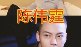 陈飞宇视频爆料最新消息,揭秘娱乐圈惊人内幕！